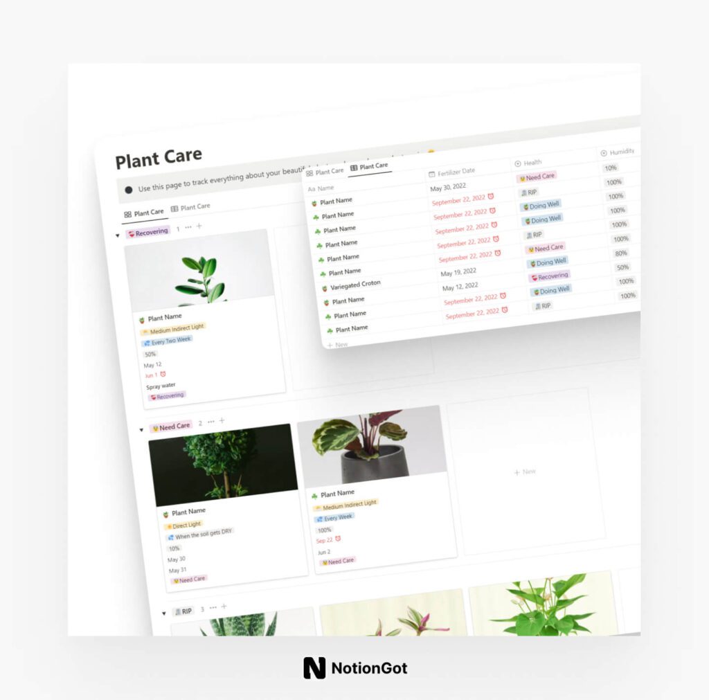 10+ Notion Templates for Gardening and Plant Care - Best Notion ...