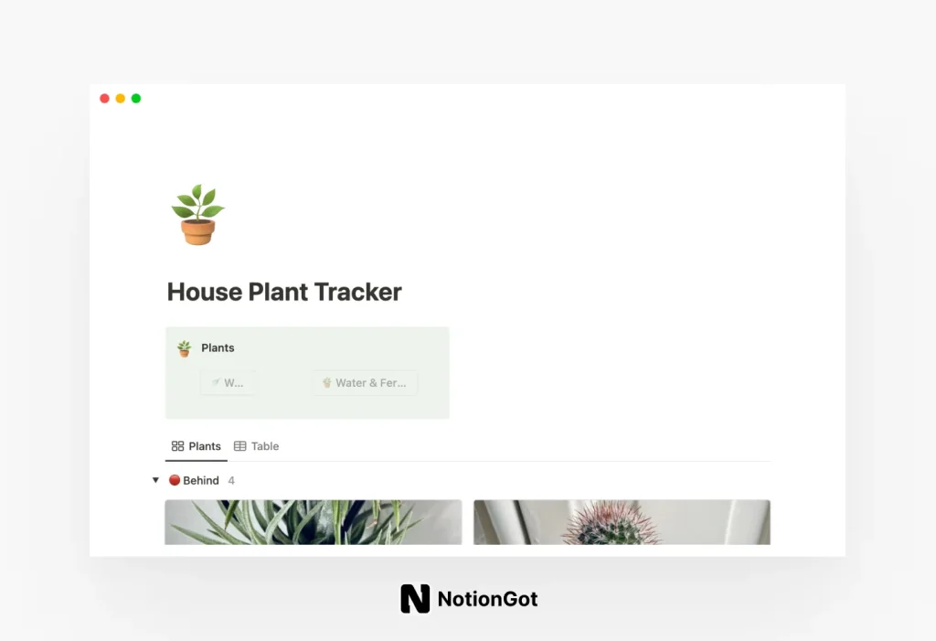 House Plant Tracker template