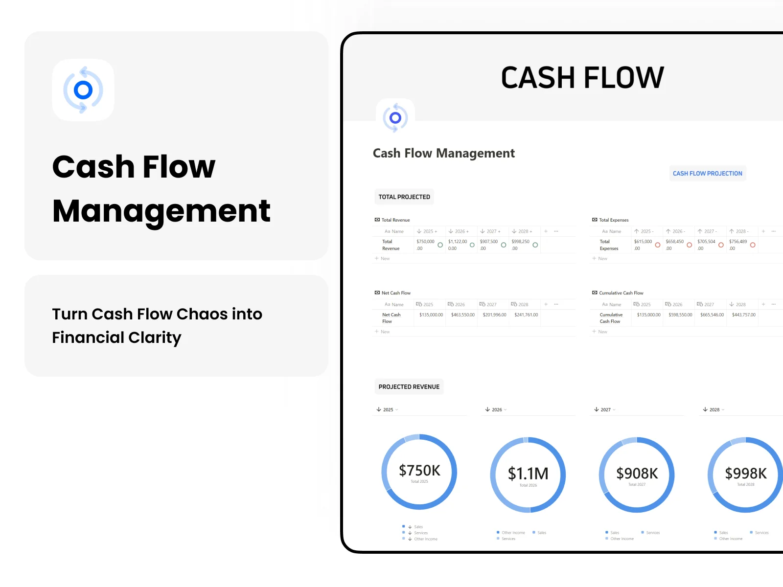 Notion Cash Flow Management & Planner Template