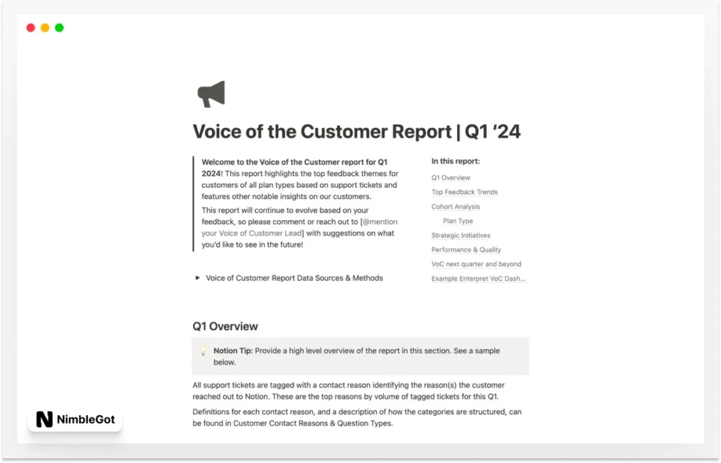 Voice of Customer Report