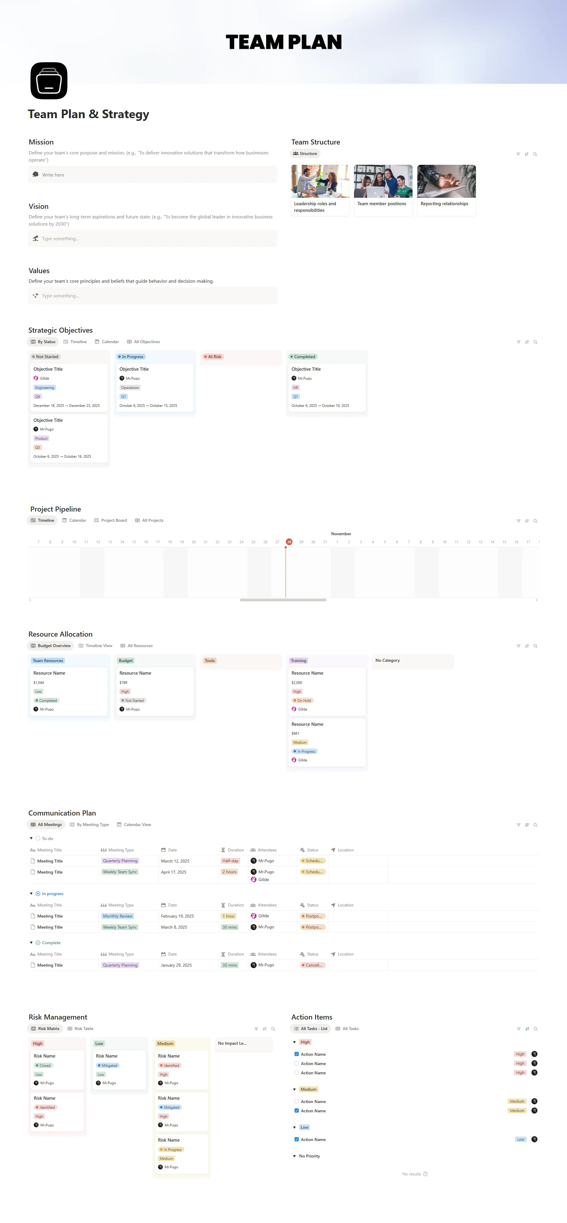 Team Plan & Strategy